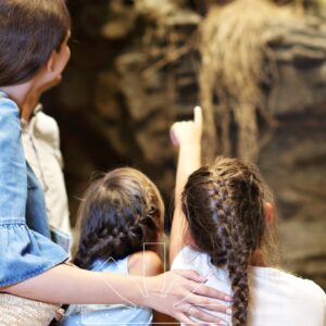Arte e Scoperte in famiglia- Ponte del 2 Giugno