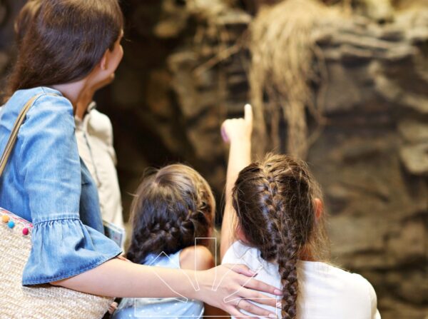 Arte e Scoperte in famiglia- Ponte del 2 Giugno